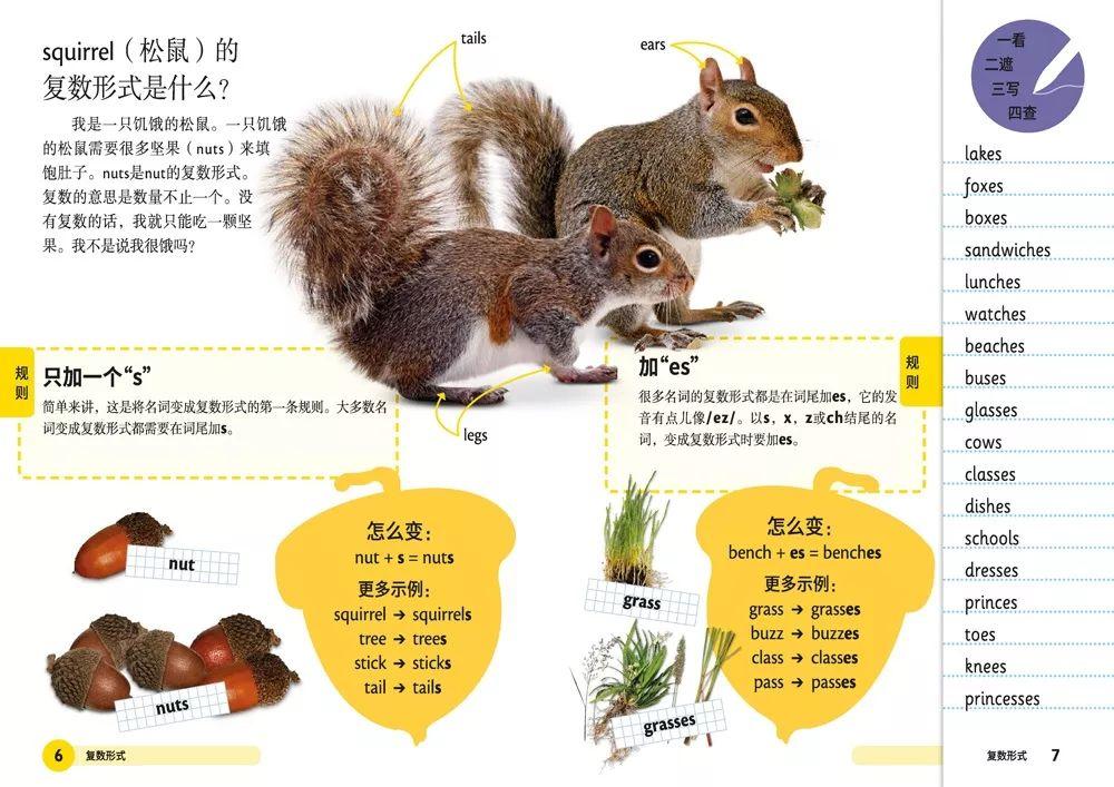 日照_一肖一码一中一特,警觉脚本-全面释义、解释与落实